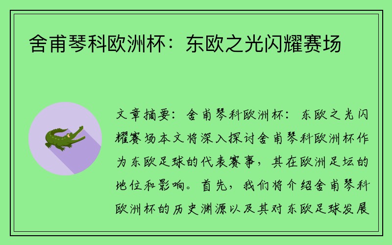舍甫琴科欧洲杯：东欧之光闪耀赛场