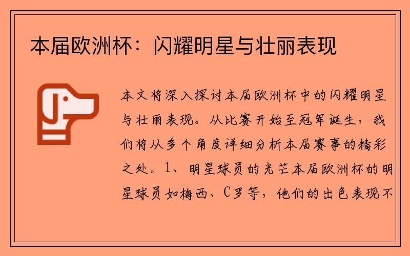 本届欧洲杯：闪耀明星与壮丽表现