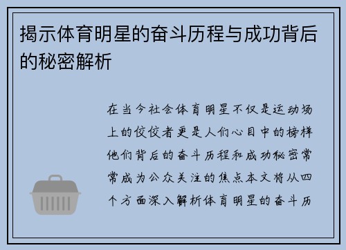 揭示体育明星的奋斗历程与成功背后的秘密解析